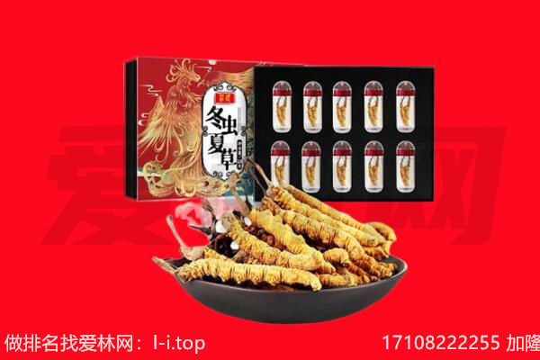 上海市普陀回收虫草.jpg